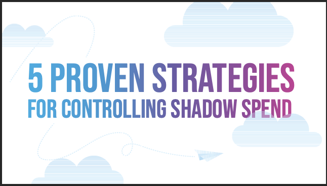 controlling shadow it case study from a turkish bank